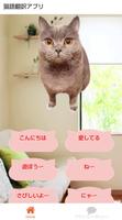 猫語翻訳アプリ　人猫翻訳機　無料 capture d'écran 2