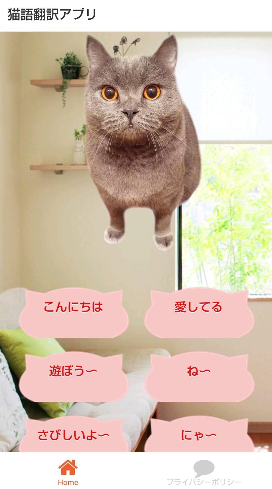 猫 語 翻訳 機