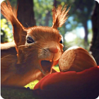 Love Squirrels and Acorn LWP ikon