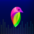 Lovi - Video Editor | Beat Video Status Maker