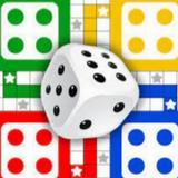 Ludo game