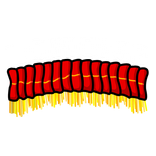 Lohong