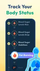 download Litely: Piano Digiuno, Tracker XAPK