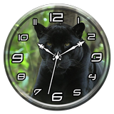 Black Panther Clock Live WP icône