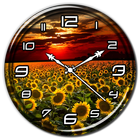 Sunflower Clock Live Wallpaper icon