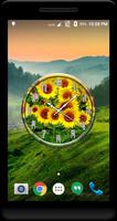 Sunflower Clock Live Wallpaper screenshot 1