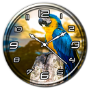 Parrot Clock Live Wallpaper APK