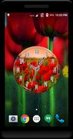 Red Poppy Clock Live Wallpaper poster