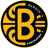 BARUCH VPN