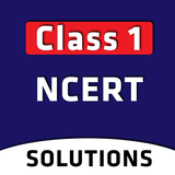 Class 1 NCERT ícone