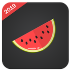 Melon VPN icon