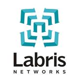 Labris SSL VPN иконка
