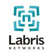 Labris SSL VPN