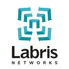 Labris SSL VPN 图标