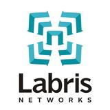 Labris SSL VPN icon