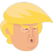 Did Donald Trump Say It? - Trivia Quiz