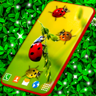 Cute Ladybug Live Wallpaper icône