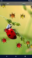 Cute Ladybug Live Wallpaper اسکرین شاٹ 3