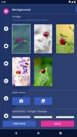 Cute Ladybug Live Wallpaper پوسٹر