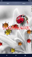 Cute Ladybug Live Wallpaper اسکرین شاٹ 1