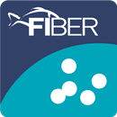 FIBER Laichzeit APK