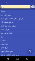 Arabic French dictionary پوسٹر