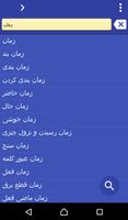 Persian (Farsi) Tamil dict पोस्टर