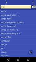 Dictionnaire Français Roumain Affiche