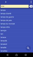 French Slovak dictionary plakat