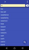 Czech Romanian dictionary پوسٹر