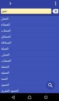 Arabic Czech dictionary پوسٹر