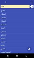 Arabic Czech dictionary Cartaz