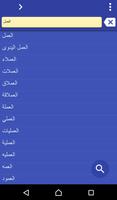 Arabic Hausa dictionary poster