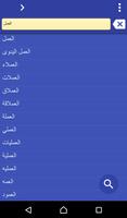 Arabic Hausa dictionary 海報