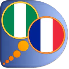 Descargar APK de French Hausa dictionary