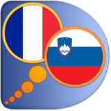French Slovenian (Slovene) dic-icoon