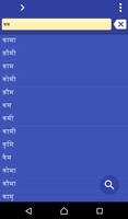 Hindi Filipino (Tagalog) dict পোস্টার