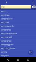 Italian Romanian dictionary 海报