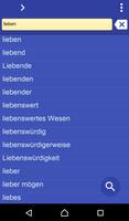 German Vietnamese dictionary 海報