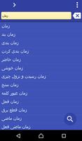 Persian (Farsi) Uzbek dict Affiche