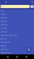 Poster Persian (Farsi) French dict