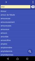 پوستر French Vietnamese dictionary