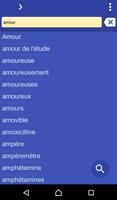 French Vietnamese dictionary 海報