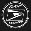 Flash Driver Delivery icon
