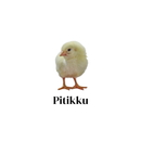 Pitikku (Harga Ayam Broiler) APK