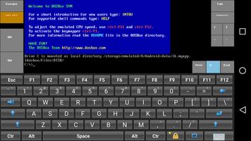 lDosBox পোস্টার