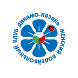 Dinamo Kazan Volley APK