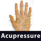 Learn Acupressure Points আইকন