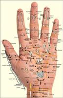 Learn Acupressure Points تصوير الشاشة 1