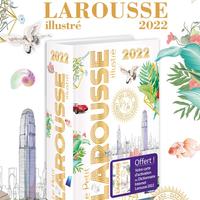 Le Petit Larousse Dictionnaire Affiche